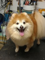 img_20161229_093626241