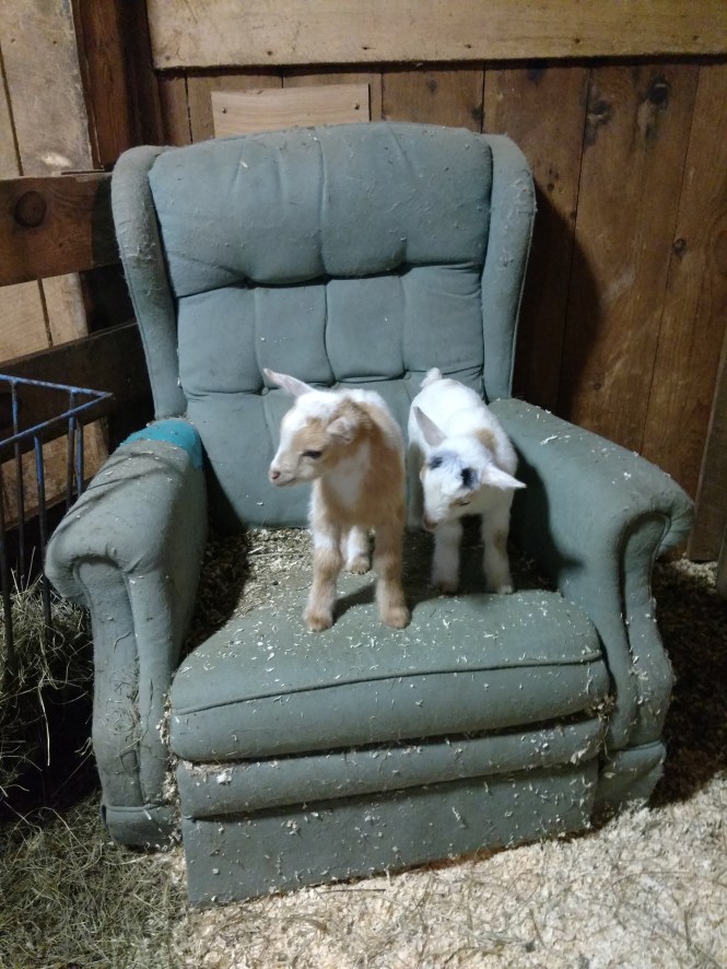 IMG_20170318_173921630